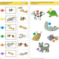 Logico Primo: Lemmikkieläimet